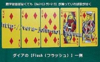 Flush-DiaSuit-Ywbt.jpg