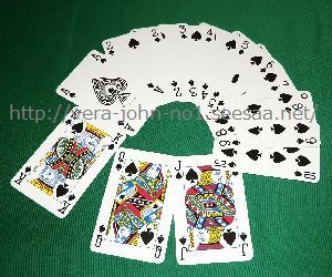 JOKER-TRUMP-SD-ALL-SL-300-250.jpg
