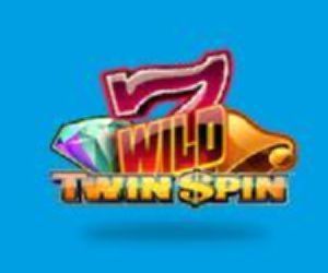 Twin-Spin-slot.jpg