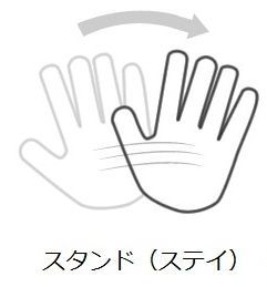 ZC-BJhandsignal4.jpg