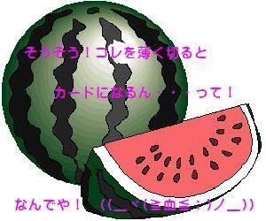 natu_0007.jpg
