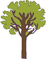 plants_0041.jpg